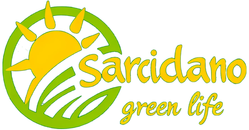 Sarcidano